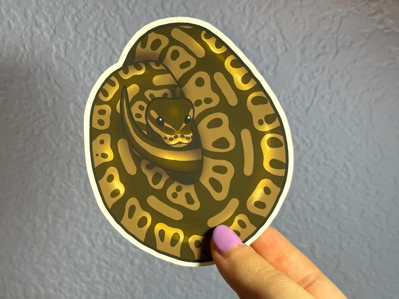 May include: A sticker of a curled up brown and yellow snake with a black and white pattern. The snake has a light brown head with black eyes.