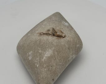 May include: A gray, diamond-shaped stone with a rough texture and a small, brown inclusion. The stone has a natural, organic appearance, suggesting it may be a decorative or craft element.