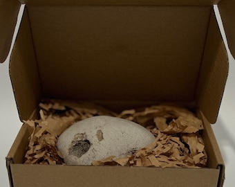 May include: A natural, light-colored stone with a hole, nestled in brown paper inside a brown cardboard box. The box is open, revealing the contents, and is set against a white background.