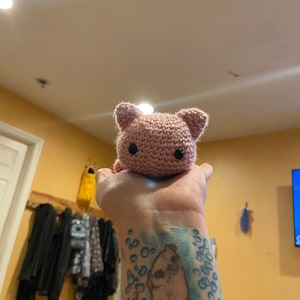 Sleepy Mew mew- made to order