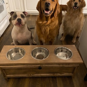 Pet feeder for Dogs