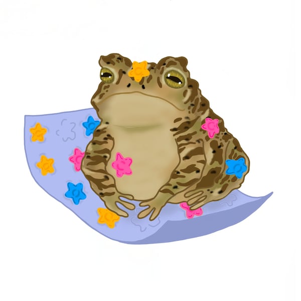 Toad Pimple Patches-original sticker design