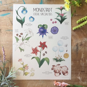 Genshin Field Guide | 8.5x11 Print | Local Specialties | Mondstadt | Liyue | Inazuma | Sumeru | Fontaine