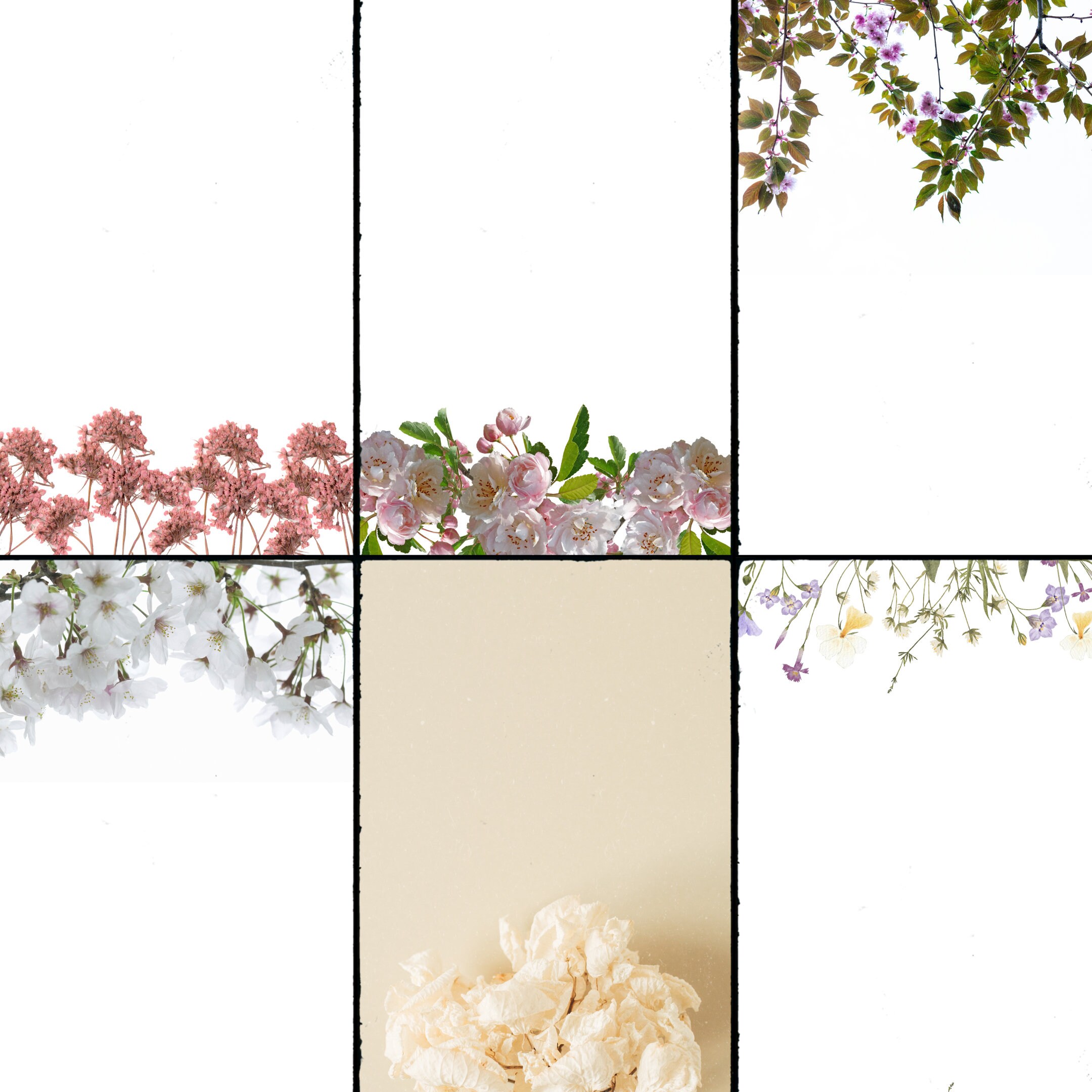 floral-printable-letter-paper-printable-notes-sheet-letter-writing