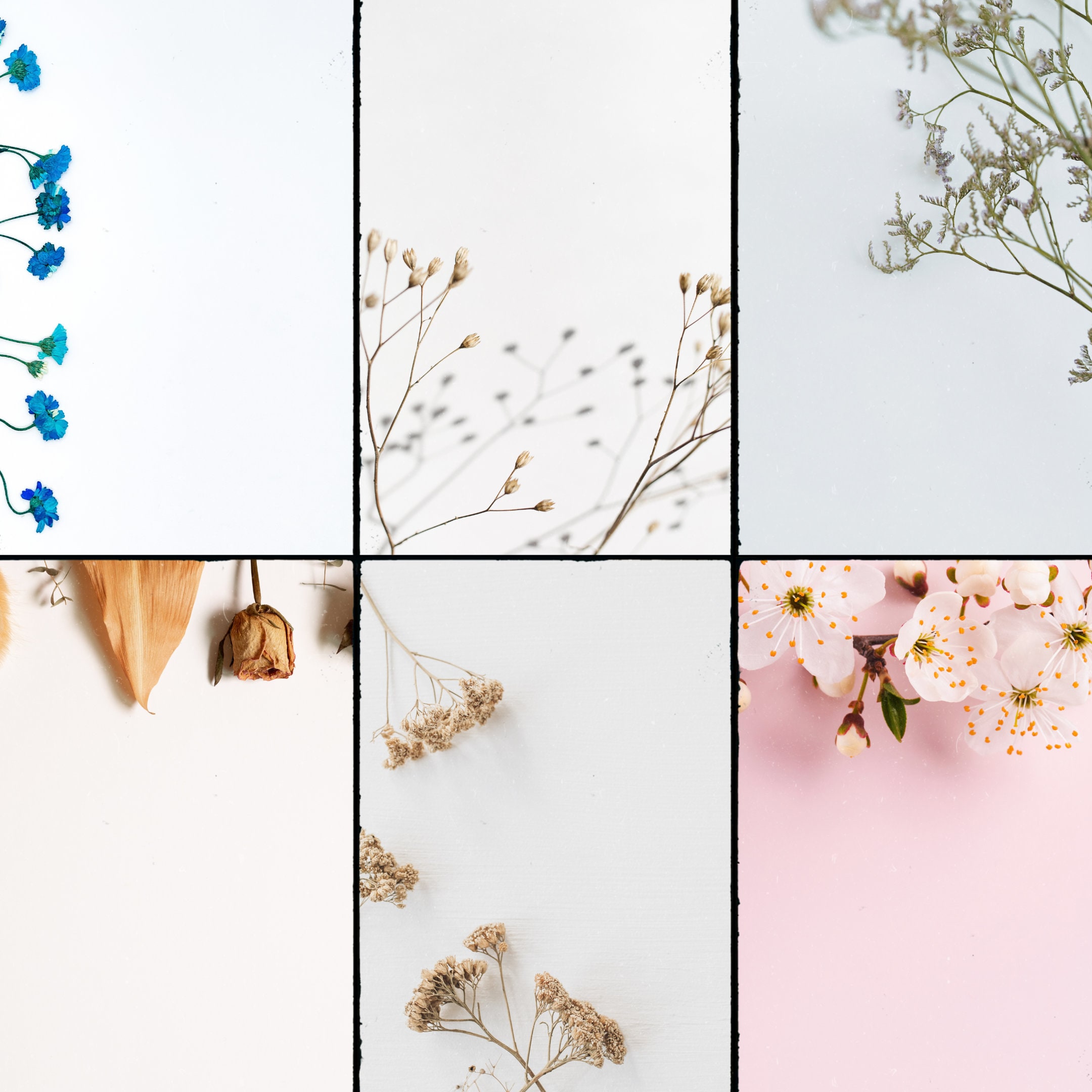 floral-printable-letter-paper-printable-notes-sheet-letter-writing