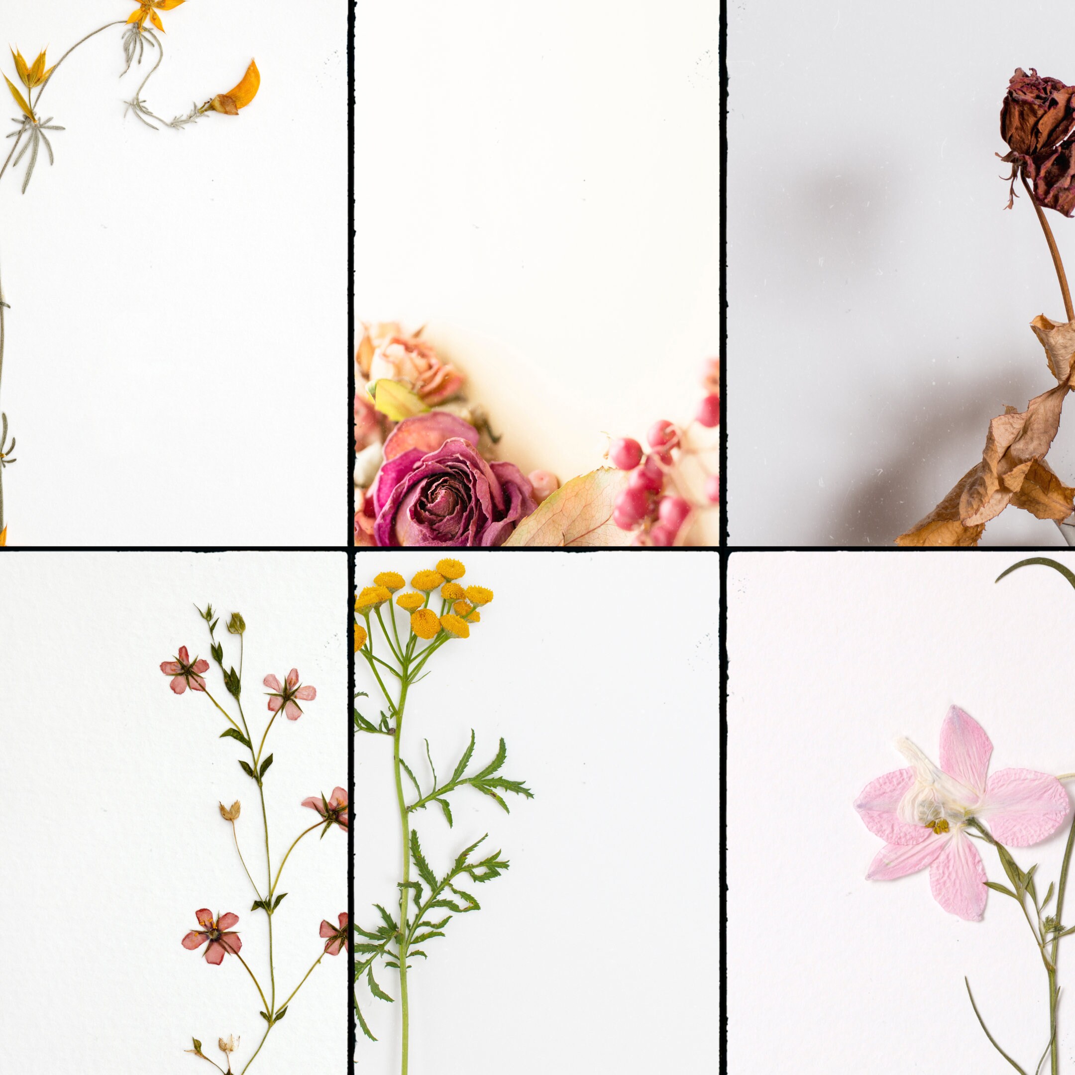 floral-printable-letter-paper-printable-notes-sheet-letter-writing