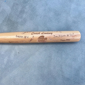 Engraved Baseball Bat with Player Signatures Coach Gift | Baseball Team Gift | Engraved Mini Baseball Bat | Baseball Coach | Tball Gift |