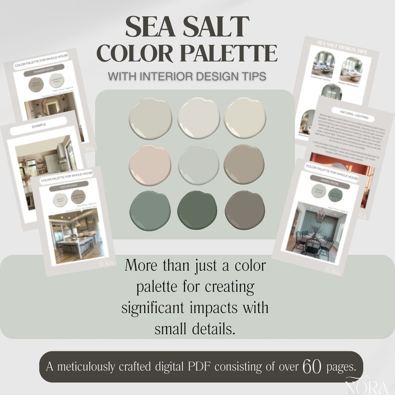 SEA SALT Sherwin Williams Color Palette With Interior Design Tips