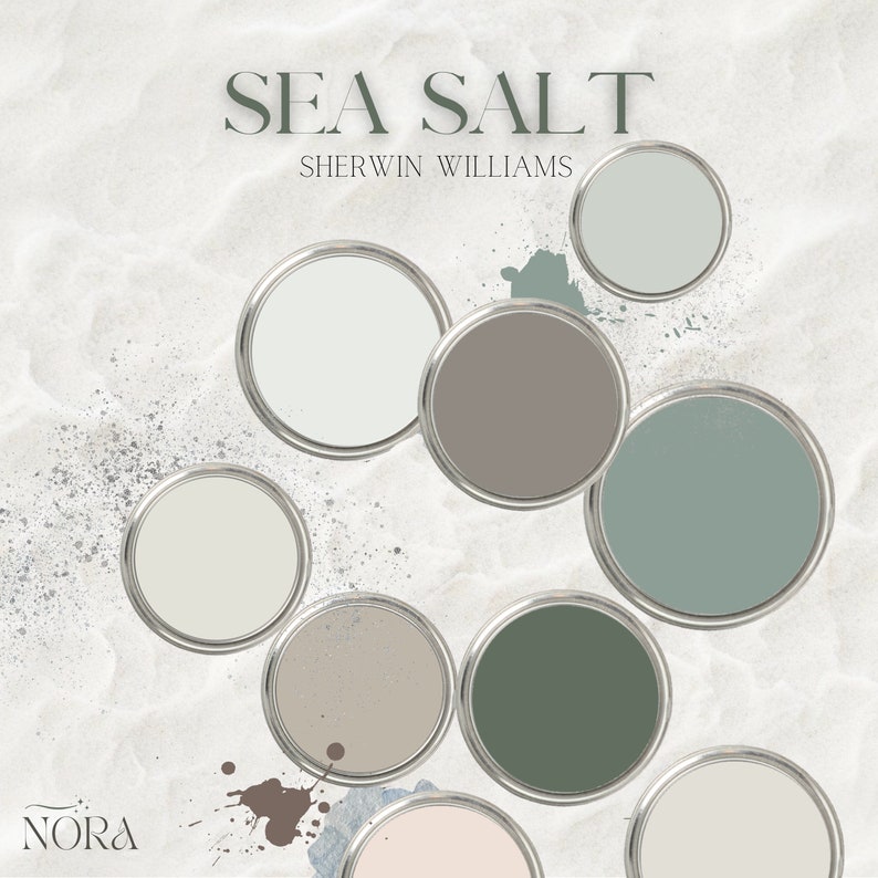 SEA SALT Sherwin Williams Color Palette With Interior Design Tips, 2024