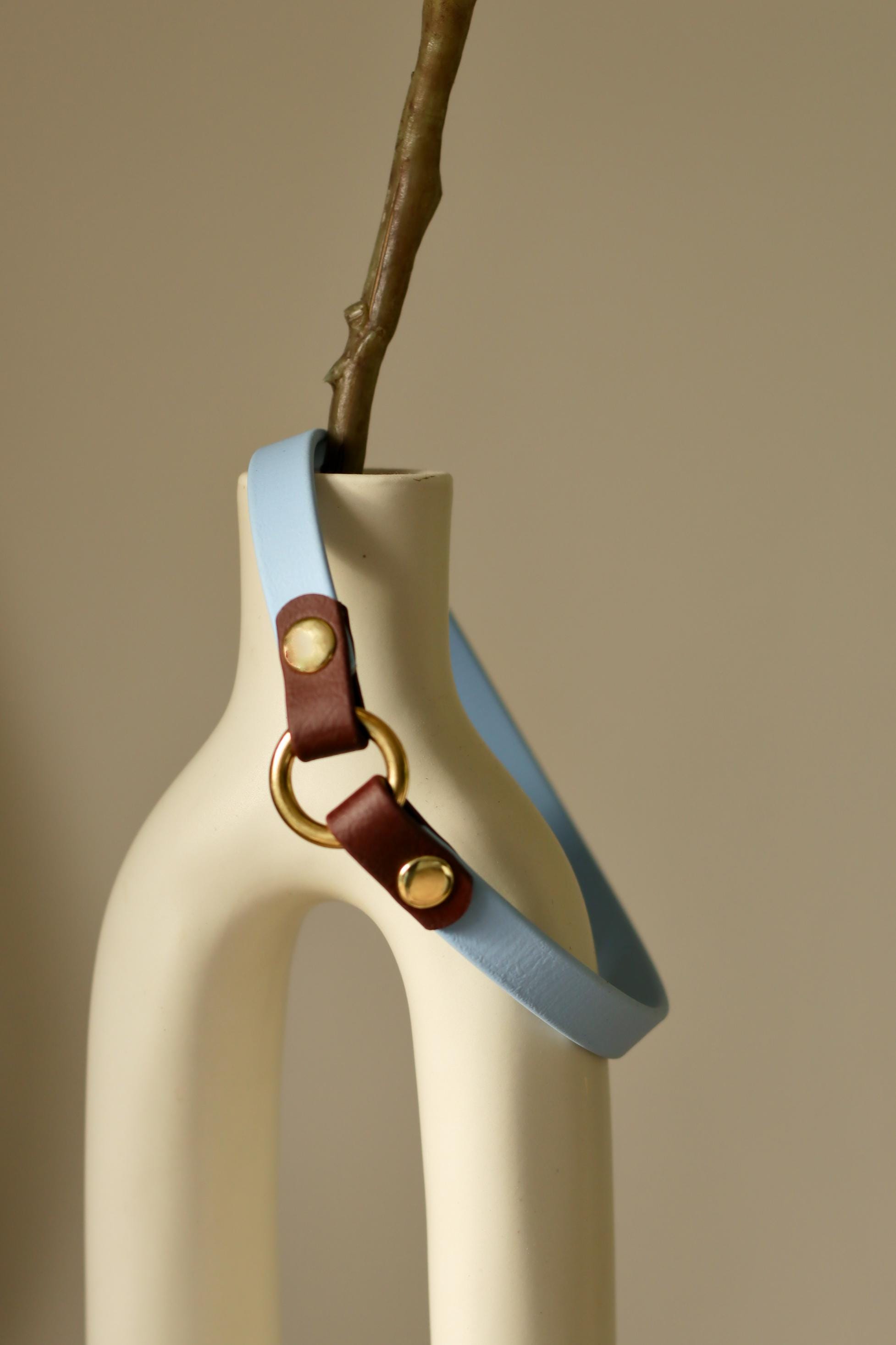 ID collar
