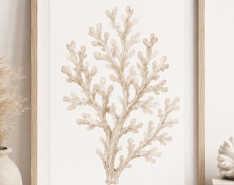 Neutral Coral Wall Art | Museum-Quality Coastal Fine Art Print