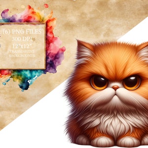 Grumpy Cat Clipart, Cute Cat PNG, Digital Download, Transparent ...