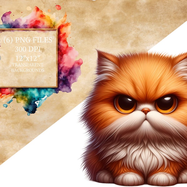 Grumpy Cat Clipart, Cute Cat PNG, Digital Download, Transparent Background, 300 DPI, Scrapbooking, Planner Stickers, Cat Art