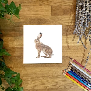 Hare Card/ Hare Greetings Card/ Bunny Card/ Greetings Card/ Blank Inside