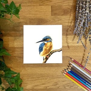 Biglietto di auguri con il martin pescatore/Biglietto di auguri con il martin pescatore/Biglietto di auguri/Biglietto vuoto/Biglietto con la fauna selvatica