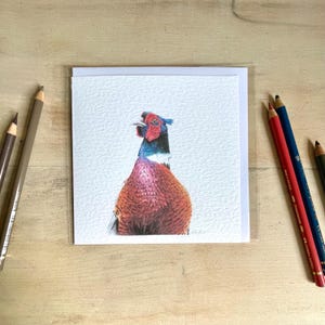 Cartão de felicitações de faisão/ Cartão elegante/ Cartão em branco/ Cartão de vida selvagem/ Cartão de pássaros/ Pássaros britânicos/ Perfeito para amantes do campo/ Arte rural