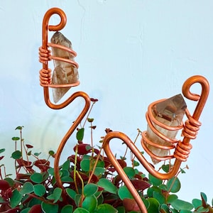 May include: Two copper wire plant stakes, each holding a smoky quartz crystal. The stakes have a looped top and a coiled section to secure the crystal. The stakes are placed in a lush green plant with red-tinged leaves, creating a natural, decorative display.