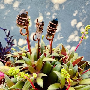 May include: Three crystal points wrapped in copper wire, each with a different color crystal: smoky quartz, clear quartz, and black obsidian. The crystals are arranged in a succulent plant pot.