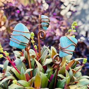 May include: Three copper wire wrapped teal blue stones on copper wire stems. The stems are inserted into a pot of green succulents.