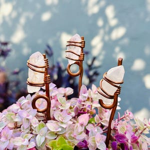 May include: Three clear quartz crystals wrapped in copper wire, standing upright in a pot of pink and green foliage.