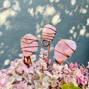 May include: Three pink rose quartz crystals wrapped in copper wire, displayed in a pot of pink and green foliage.