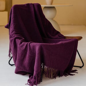 May include: A deep purple throw blanket with fringe detail draped over a chair with a black metal frame. The chair is in a room with a neutral color palette, a small plant, and a decorative wall niche.