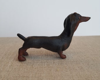 Small Wiener Max Dachshund