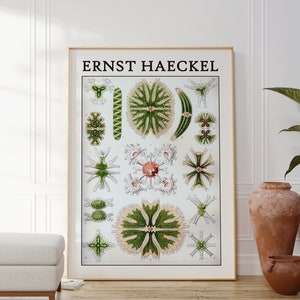 Ernst Haeckel Poster - Scientific poster as Ernst Haeckel print, Haeckel wall art, Haeckel art print, Science illustration, Haeckel