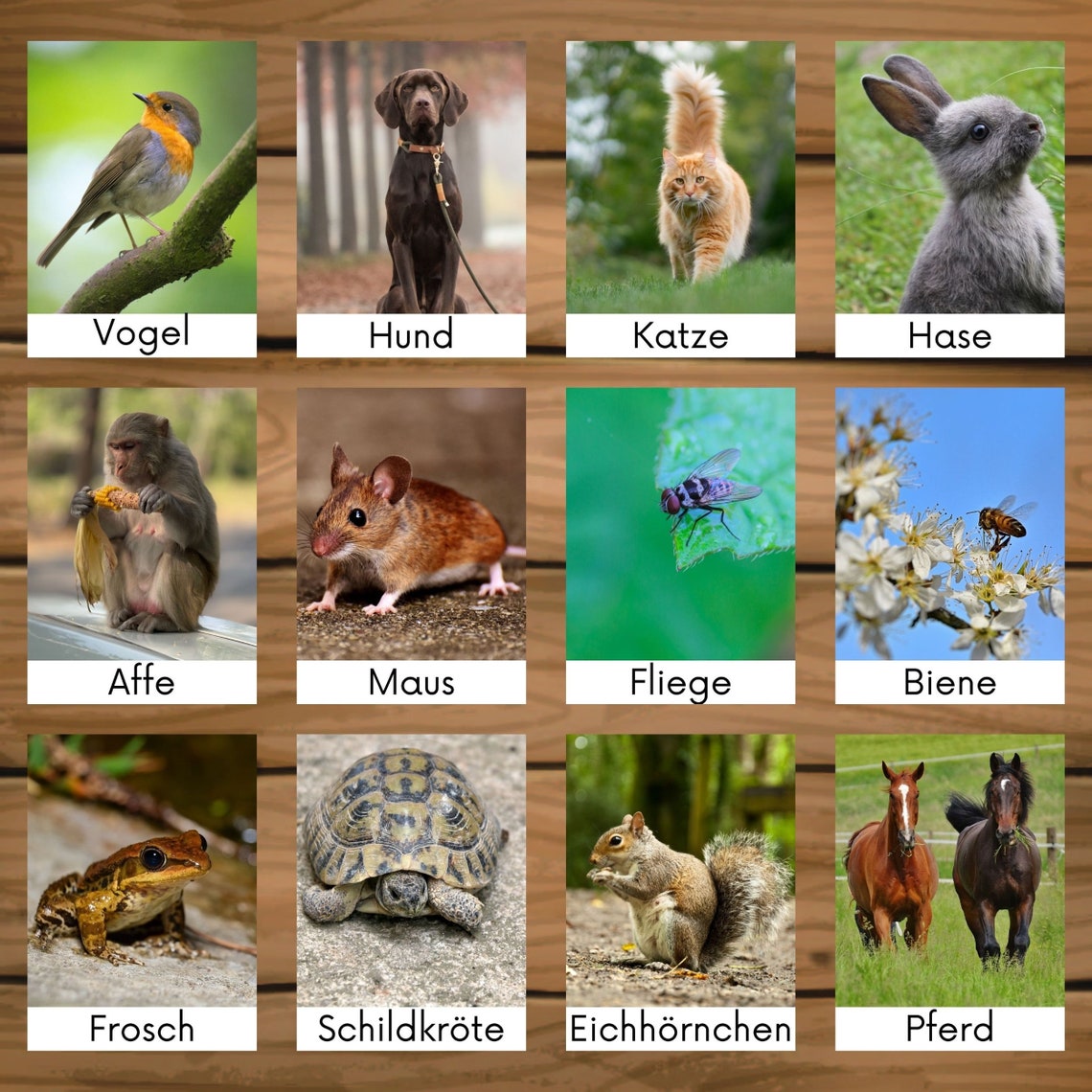 30 Tiere Flashkarten Montessori Tierkarten Zum Ausdrucken - Etsy