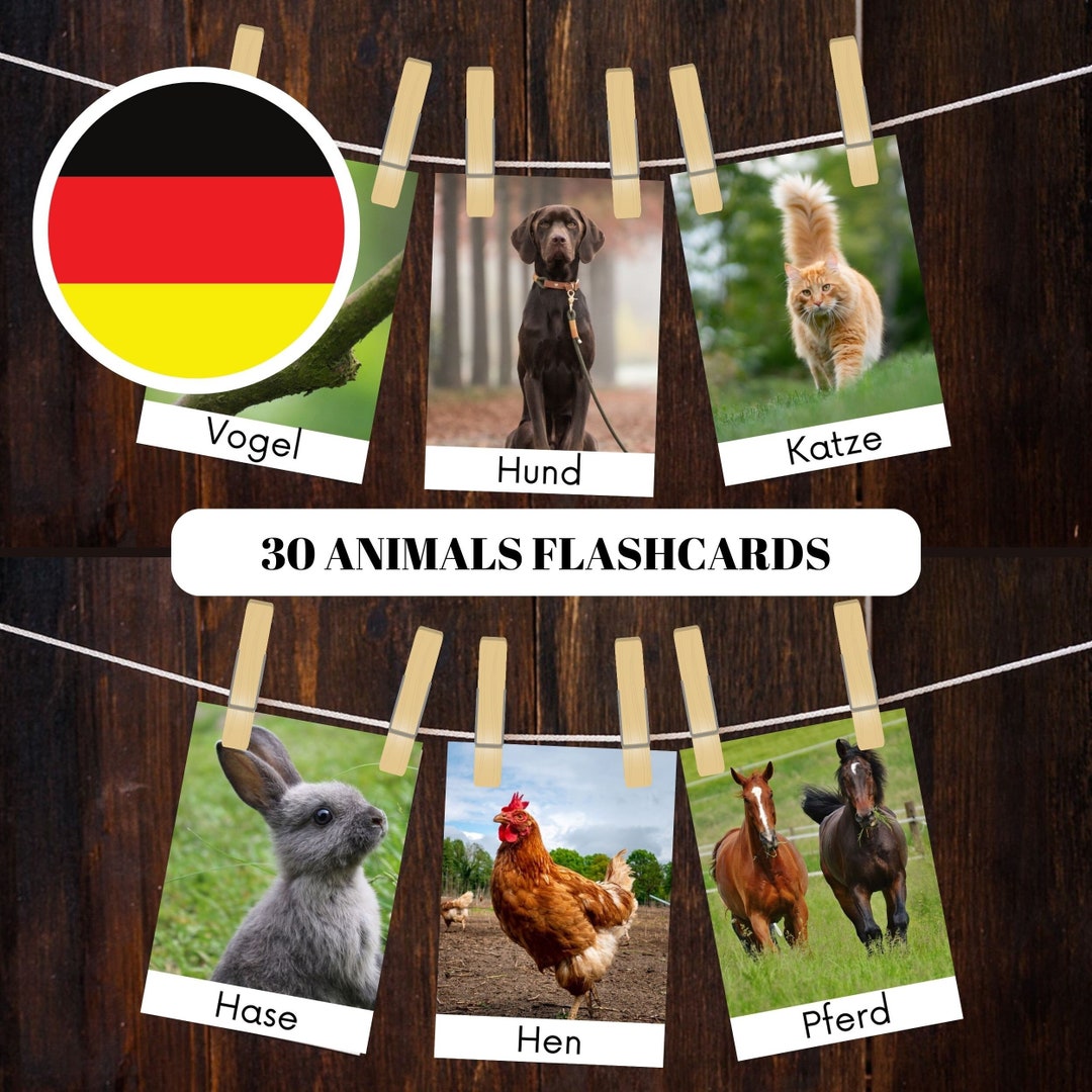 30 Tiere Flashkarten Montessori Tierkarten Zum Ausdrucken - Etsy