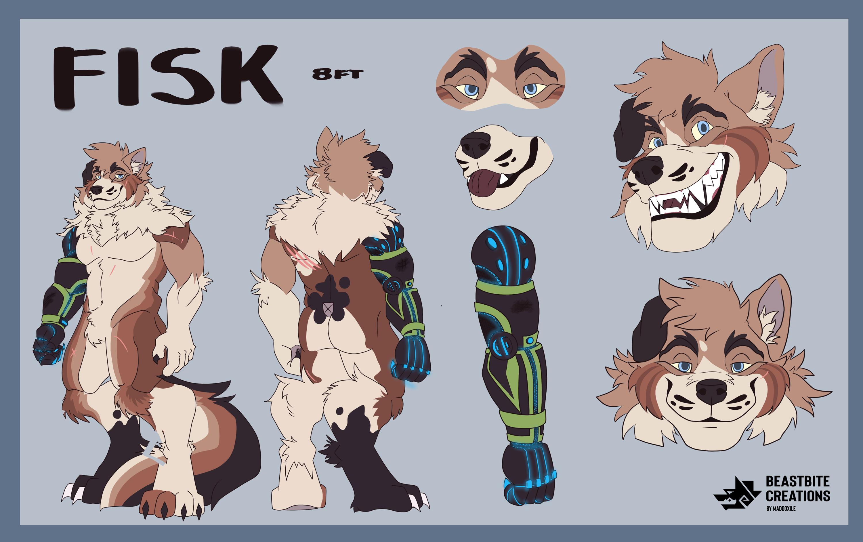 Detailed Character Reference Sheet: Front/back Views, Expressions and ...