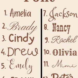 Puede incluir: Un gr&aacute;fico con la palabra "Font" en la parte superior, seguido de una lista de 12 nombres en diferentes fuentes. Los nombres son Amelia, Brady, Cindy, Drew, Emely, FRANK, Jackson, Nancy, Rachel, Olivia, Mimi y Peter.
