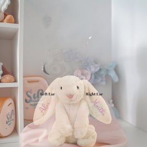 Personalisierter Osterhase, Osterhase, Osterkörbchen, Plüsch Osterhase, Benutzerdefinierte Osterhase, Osterkorb Geschenk, Stoffhase