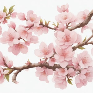 Cherry Blossom Flowers Digital Clipart - 5 High Quality JPGs - Digital Planner, Wallpaper, Wall Hanging, Card Making, Instant Downloadable.