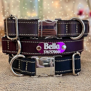 Personalized Leather Dog Collar, Engraved Dog Collar, Custom Dog Collar with Name Plate, Leather Dog Collar