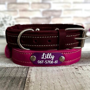 Coleira de couro gravada para cachorro: placa de identificação personalizada, identificação personalizada para animais de estimação