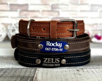 Personalized Leather Dog Collar with Engraved Name Plate