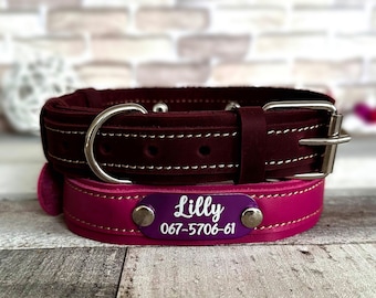 Collar de cuero grabado para perro: placa personalizada con nombre e identificación personalizada para tu mascota.