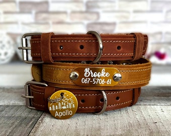 Personalized Leather Dog Collar with Engraved Name Plate