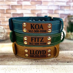 Leather dog collar personalized, Leather dog collar with name plate, Dog lover gift, Custom dog collar, Engraved leather dog collar