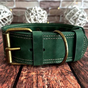 Wide green leather dog collar with antique brass buckle, contrast stitching, and a classic handcrafted design.