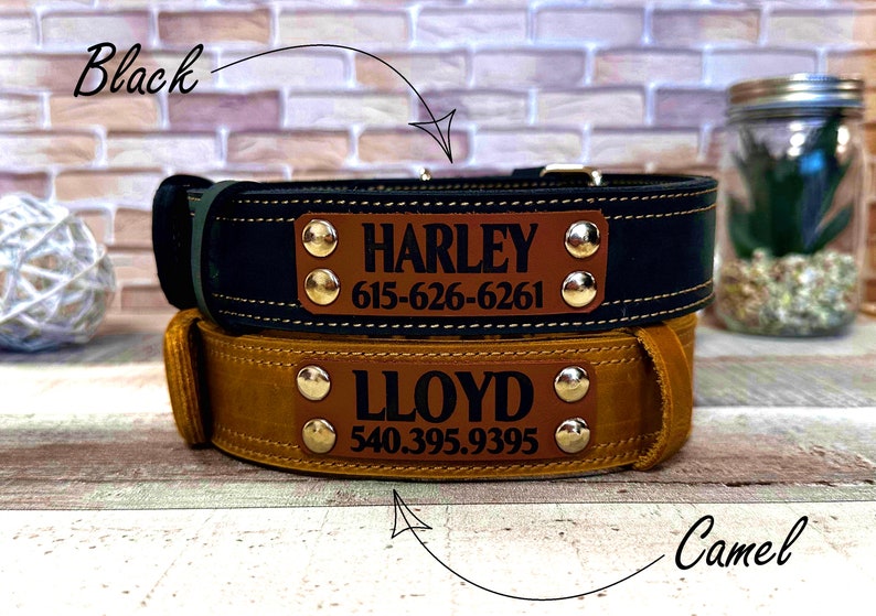 Wide dog collar for large dog, Thick dog collar personalized, Leather dog collar, Dog collar girl, Dog collar boy, Real solid dog collar