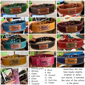 May include: Twelve different leather dog collars with personalised nameplates. The collars are in various colours, including emerald green, whiskey, cognac, light blue, camel, marsala, turquoise, black, red, caramel, pink, dark blue, and powder.