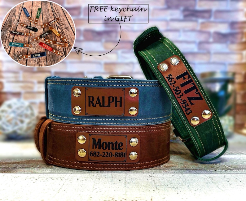 Leather dog collar personalized, Leather dog collar with name plate, Dog lover gift, Custom dog collar, Engraved leather dog collar