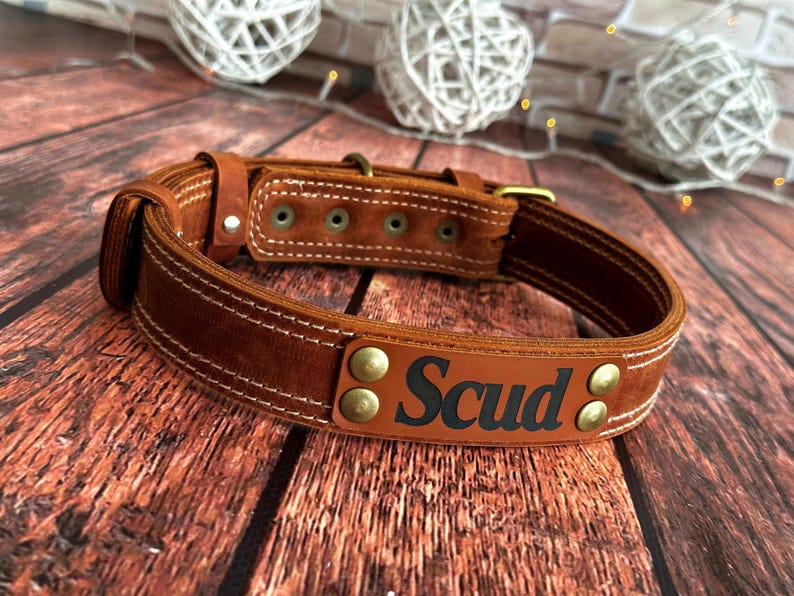 Custom leather dog collar in cognac brown with engraved pet nameplate and handcrafted details.