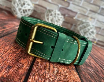 Heavy Duty Leather Dog Collar with Nameplate and Solid Brass Hardware