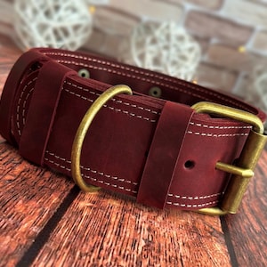 Puede incluir: Un collar de perro de cuero burdeos con una hebilla de latón y un diseño de doble costura.