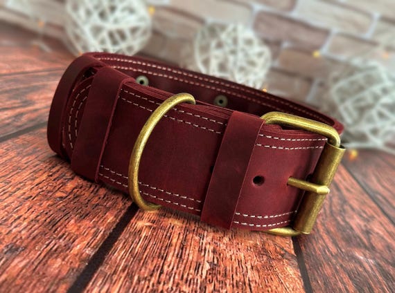 Wide Leather Dog Collar: Durable Full-Grain, Solid Brass Buckle and D-Ring, Personalized name plate