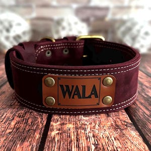 Custom burgundy leather dog collar with engraved identification plate and antique brass rivets.