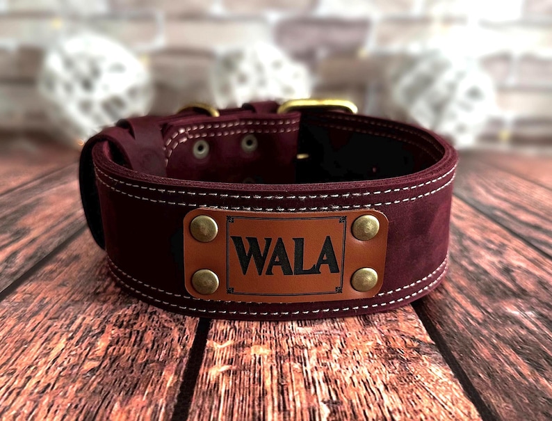 Custom burgundy leather dog collar with engraved identification plate and antique brass rivets.